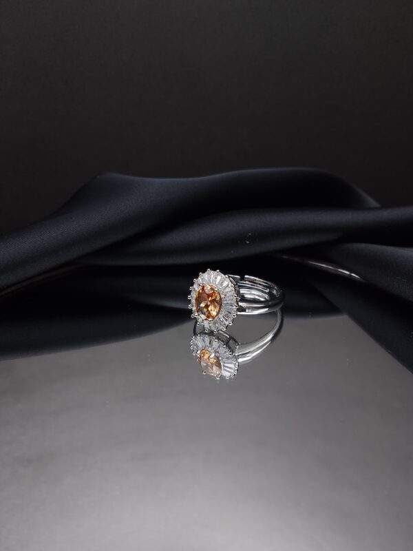 Golden & Silver Rings - Image 10
